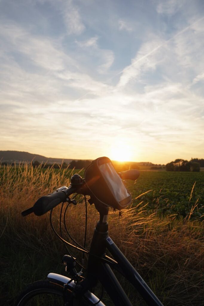 A bicycle parked in a rural field at sunset in Bad Münder, Germany.